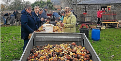 cidre ancienne